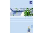 ERSTE BLUTEN