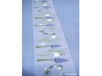 MUSCARI 5 CM.