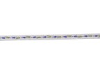 MUSCARI BASE CHIARA 1 CM