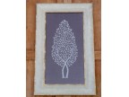 L' ALBERO DI BERTILLA