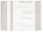 BORDO LINO HERBEST