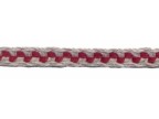 GALLONE DAMIER