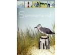 SOMMERWIND