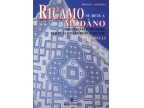 RICAMO SU RETE A MODANO