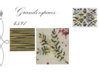 2 dmc  coloris 4521 Grands espaces