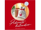 Christiane Dahlabeck- Advent Kalender