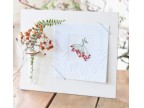 "kit con ampollina" NON DISPONIBILE