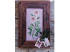 - coll 36 Drottning 186 x 84