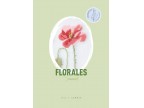 01 Florales teil 2 Summer