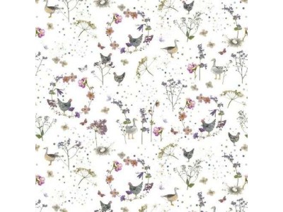 - acufactum gallinelle su base bianca