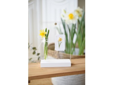 Cornice in plexiglass con provetta per fiori