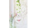 Cuore in vetro Dahlbeck