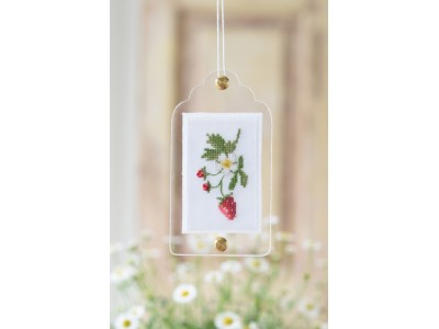 Etichetta in plexiglas 6,5x12 cm