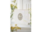 1 Bigliettino con fiore di camomilla